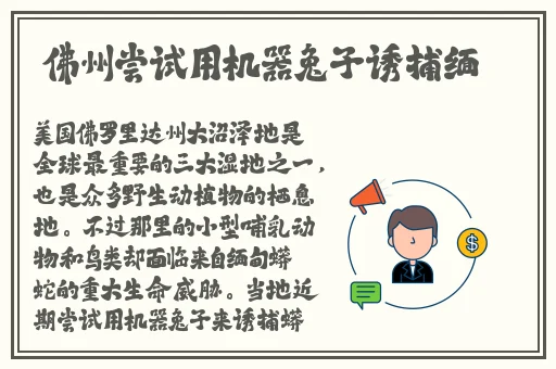 授课方式by肉馅小水饺